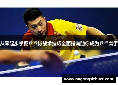 从零起步掌握乒乓球战术技巧全面指南助你成为乒乓高手