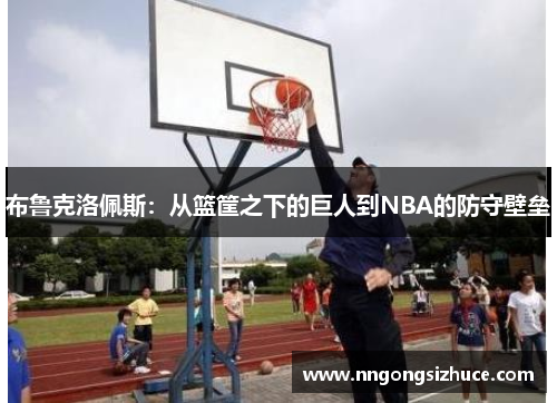布鲁克洛佩斯：从篮筐之下的巨人到NBA的防守壁垒